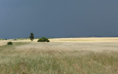 TN - Landscape in the upper Merguellil catchment