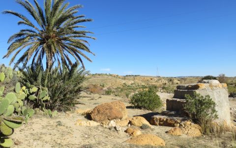 TN – Upper Merguellil catchment