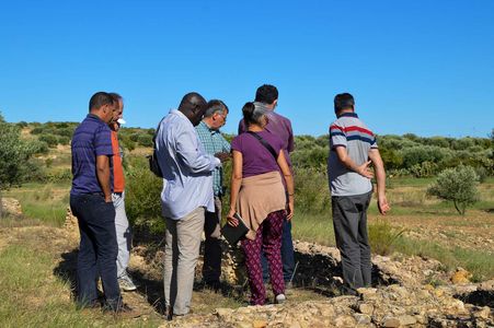 Breve guia para a excursão na região de Kairouan